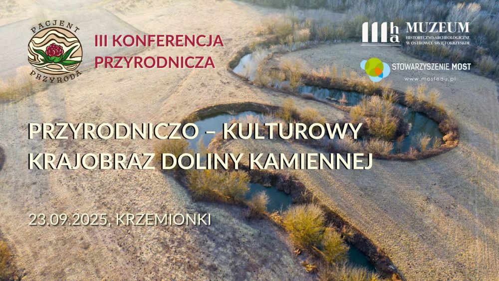grafika ilustracyjna