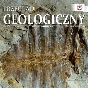 grafika poglądowa, zajawka artykułu