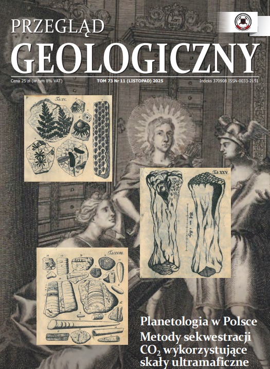 grafika ilustracyjna