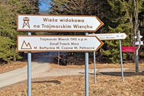 grafika ilustracyjna
