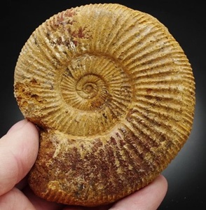 grafika poglądowa, zajawka artykułu