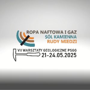 grafika poglądowa, zajawka artykułu