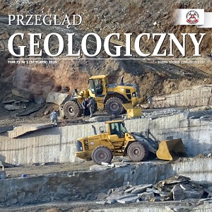 grafika poglądowa, zajawka artykułu