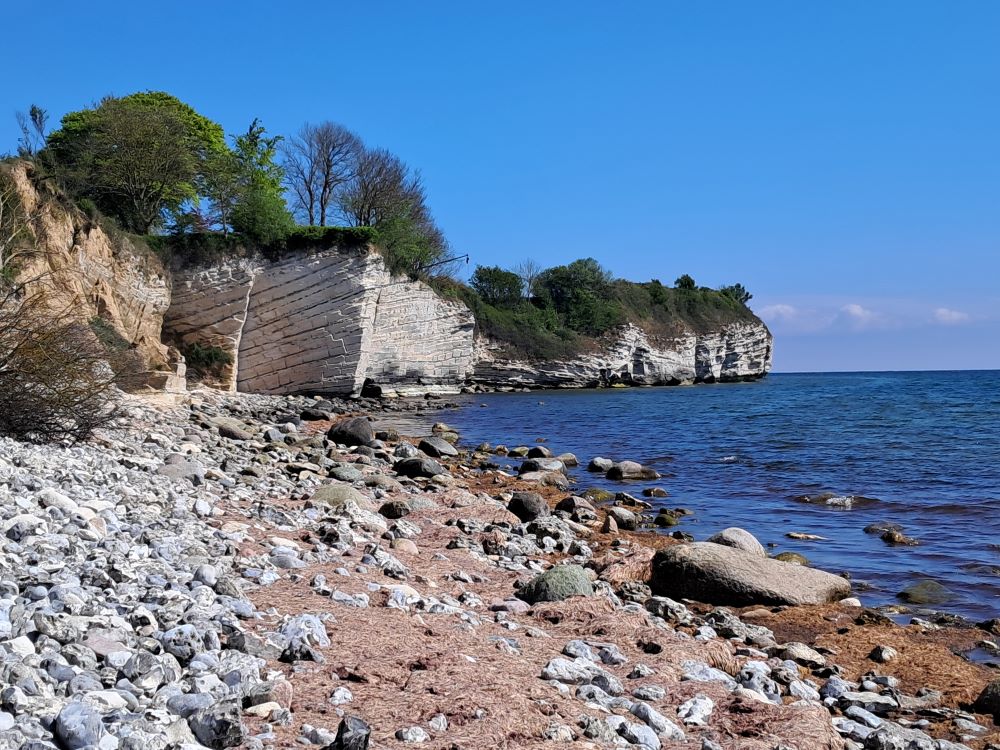 klif Stevns Klint