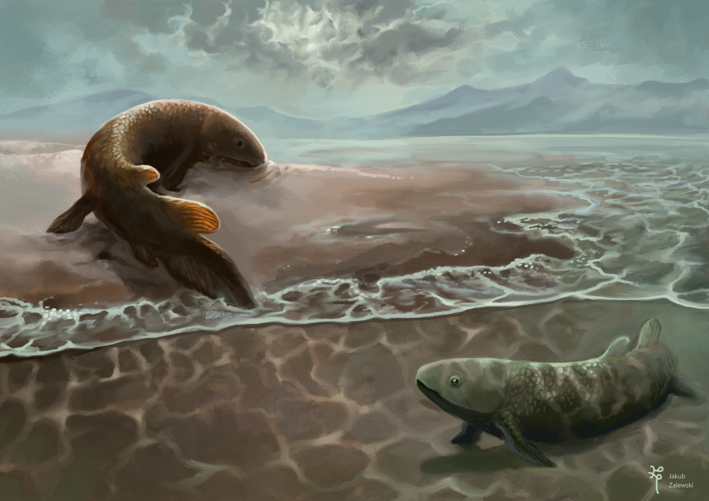 grafika ilustracyjna