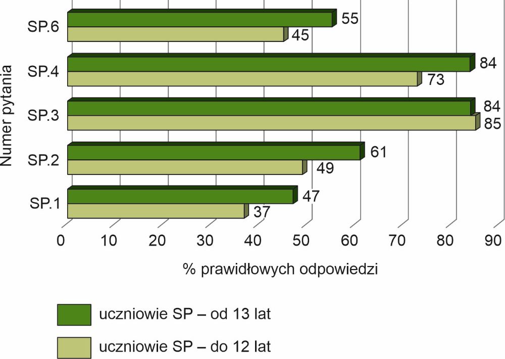 grafika ilustracyjna