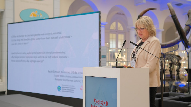 kobieta wygłasza prezentację do mikrofonu