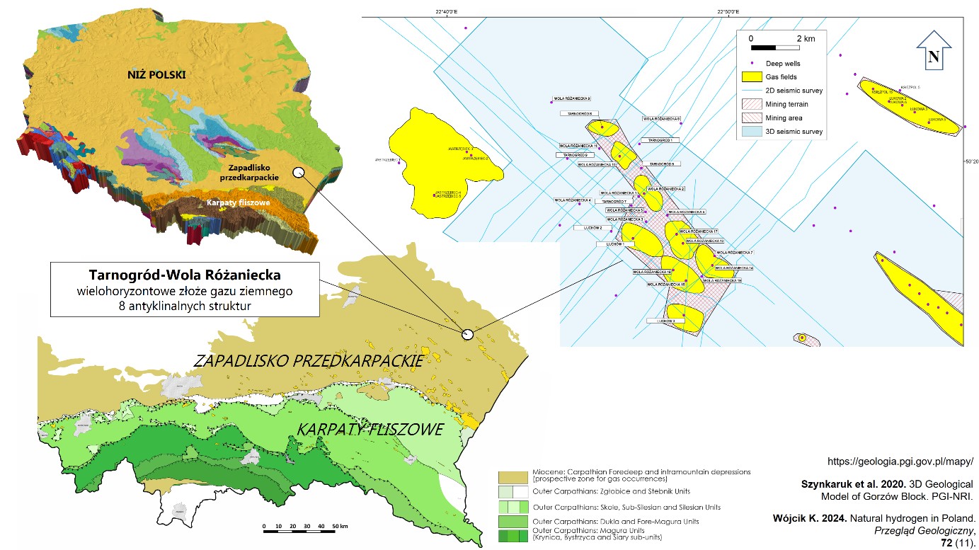 grafika ilustracyjna