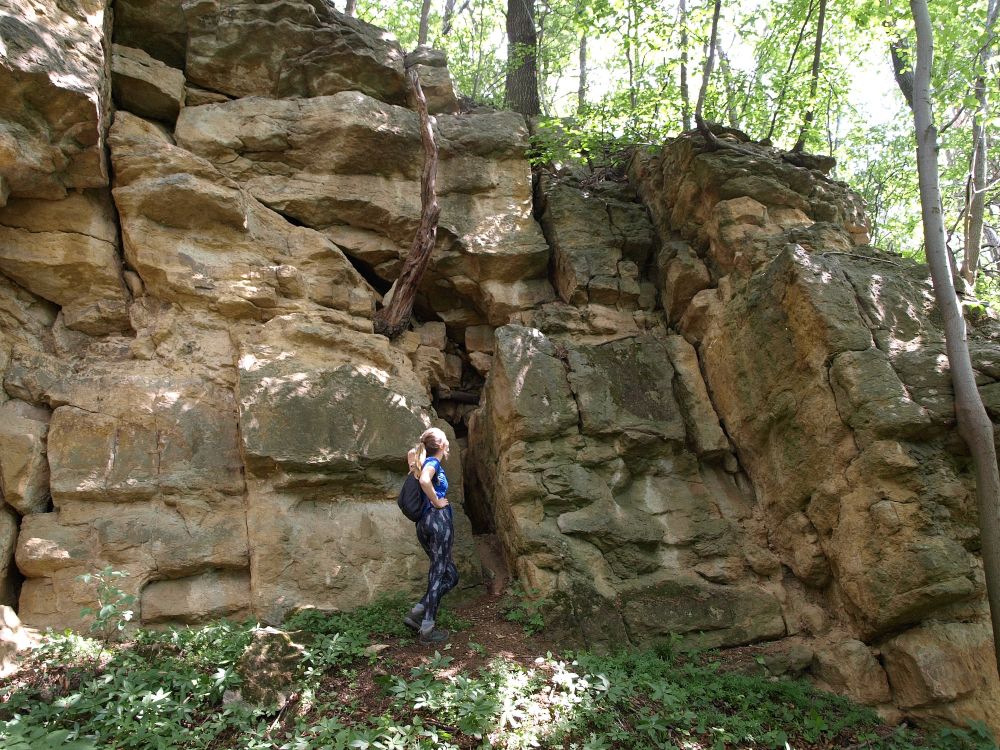 odsłonięcie geologiczne