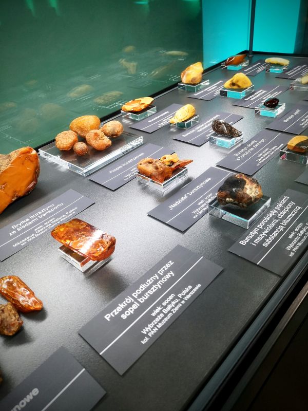ekspozycja w muzeum