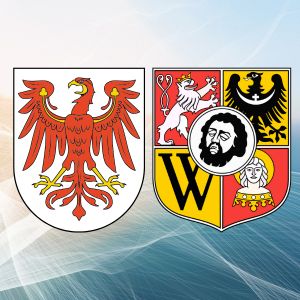 grafika poglądowa, zajawka artykułu