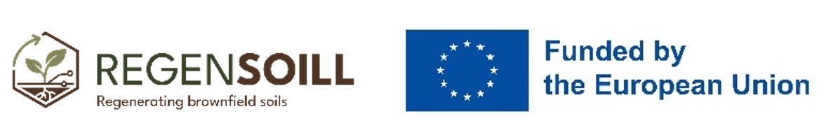 grafika ilustracyjna