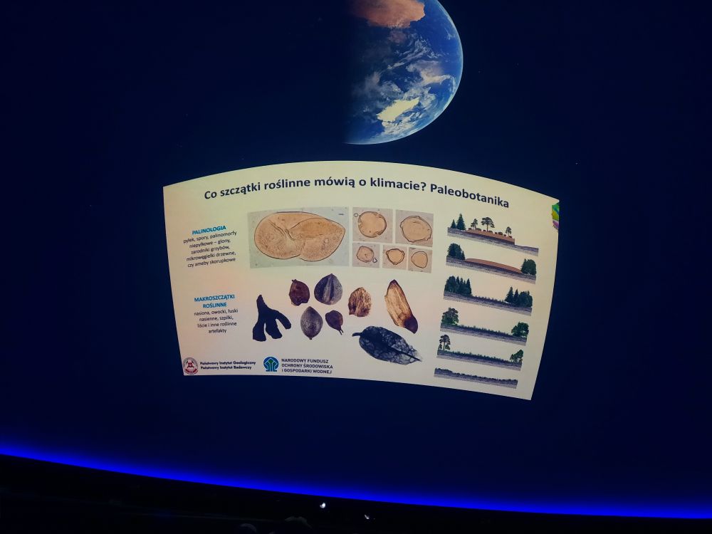 grafika ilustracyjna