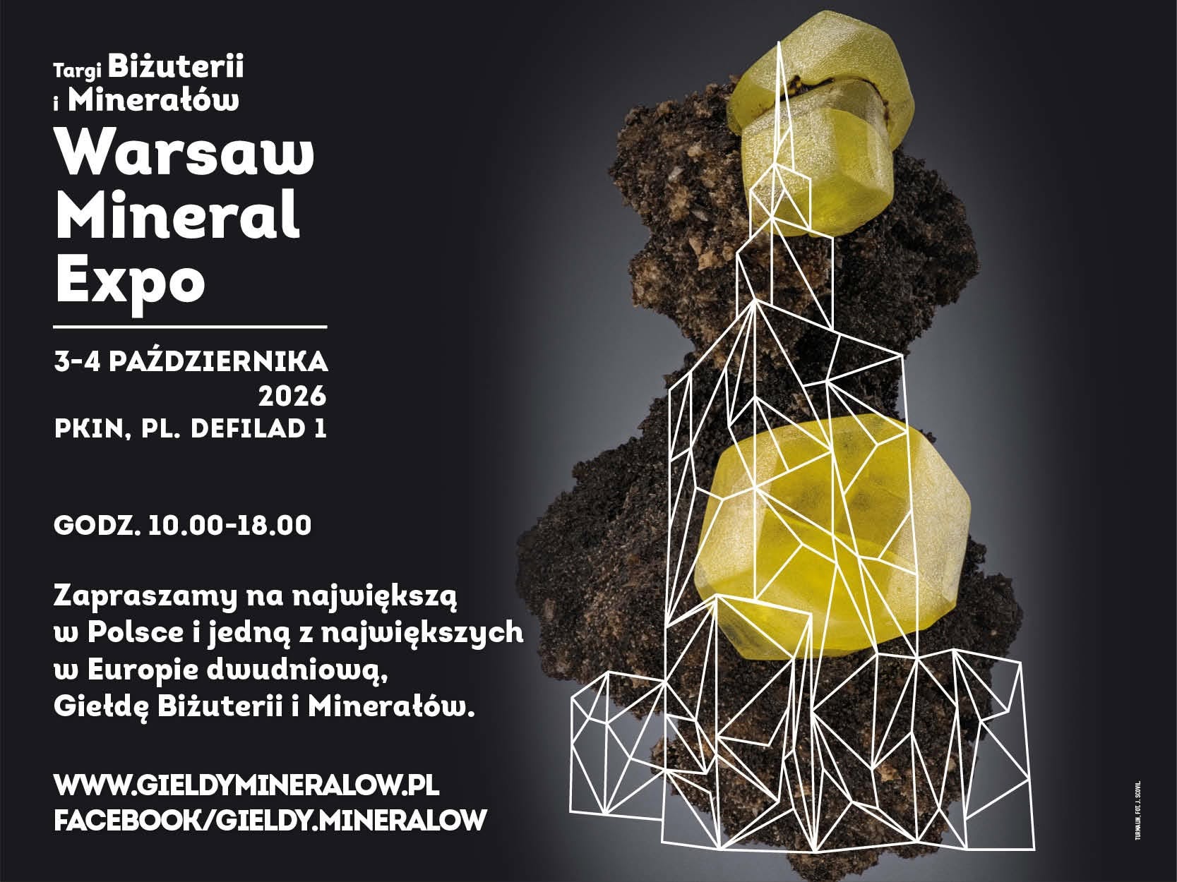 grafika ilustracyjna