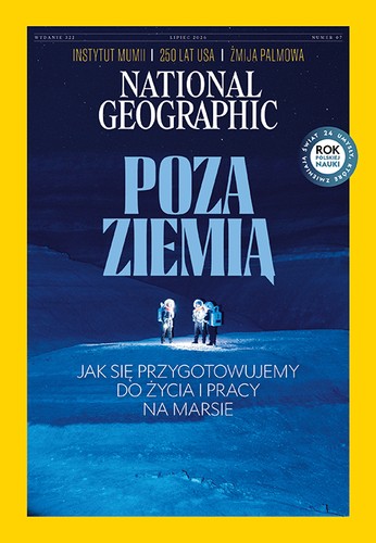 grafika ilustracyjna