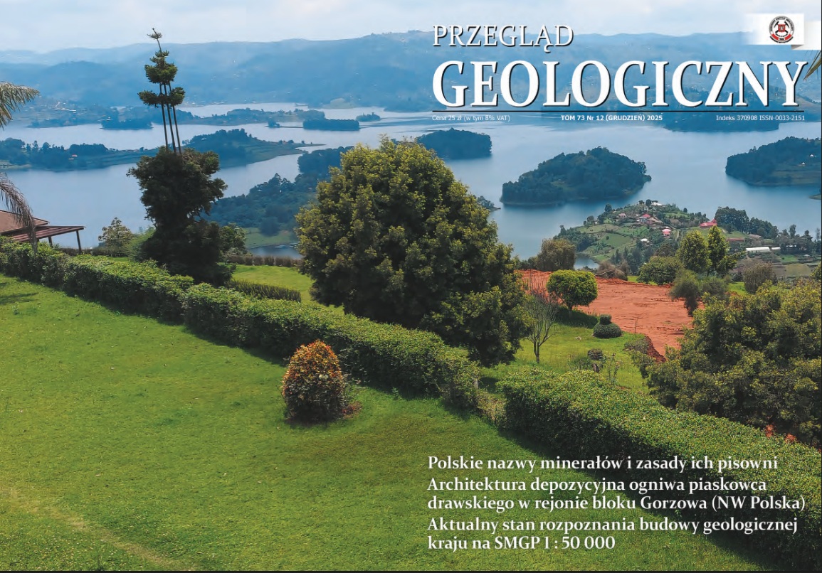 grafika ilustracyjna