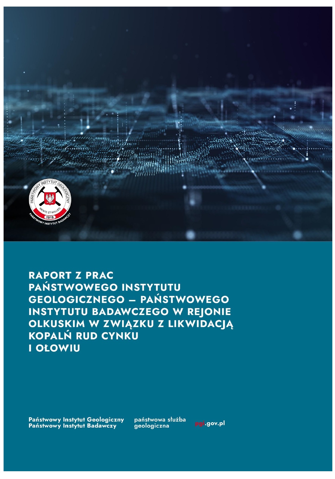 grafika ilustracyjna