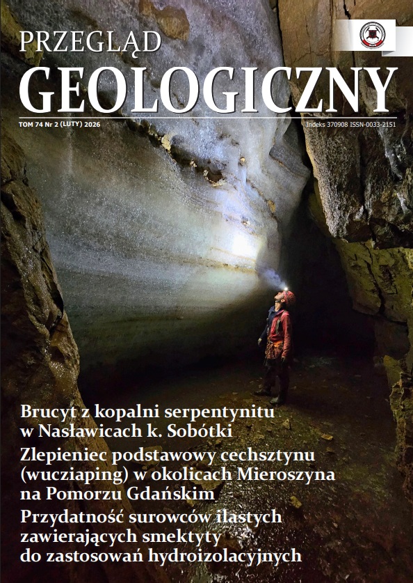 grafika ilustracyjna