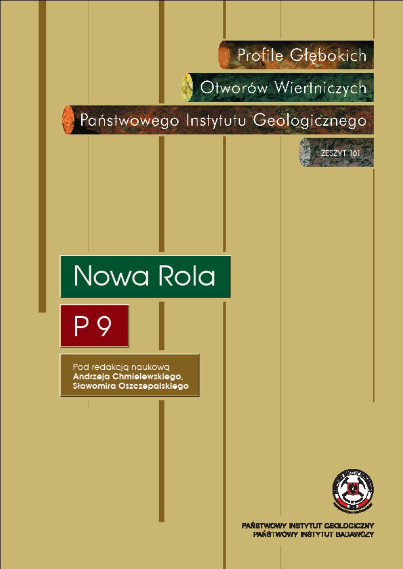 grafika ilustracyjna