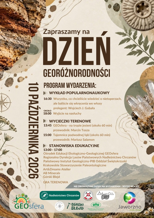 grafika ilustracyjna