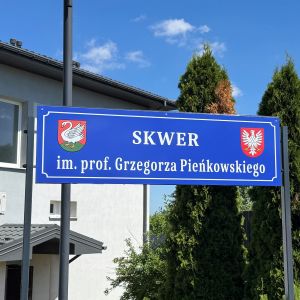 grafika poglądowa, zajawka artykułu