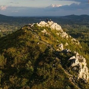 grafika poglądowa, zajawka artykułu