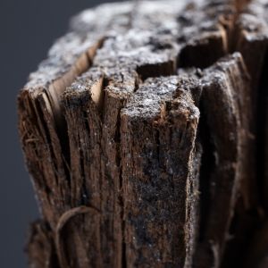 grafika poglądowa, zajawka artykułu