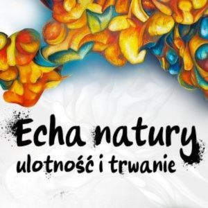 grafika poglądowa, zajawka artykułu