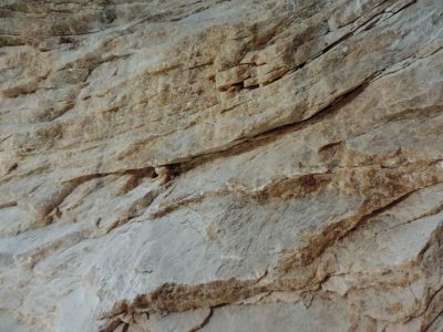 grafika poglądowa, zajawka artykułu