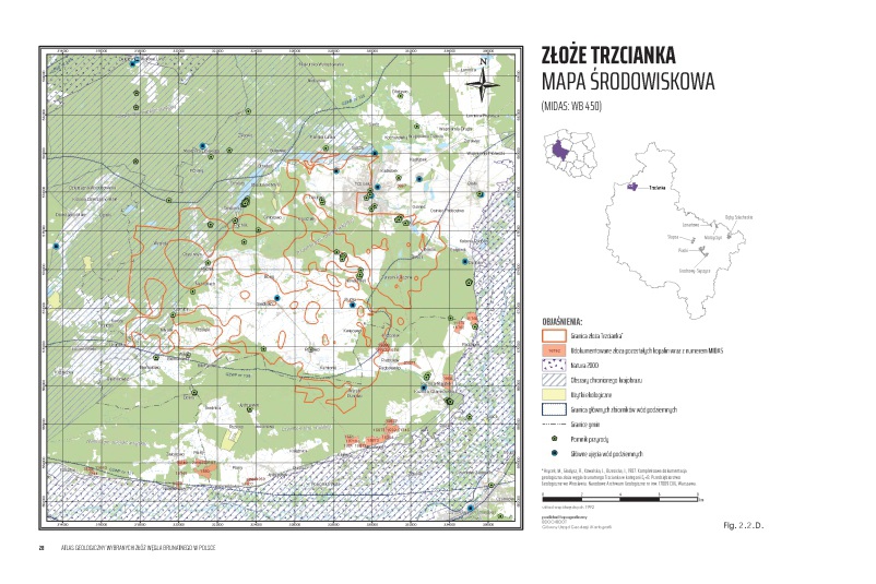 grafika ilustracyjna