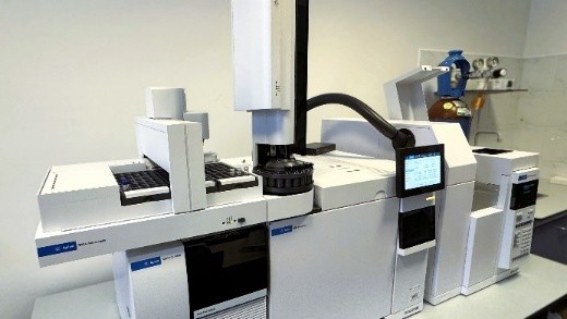 grafika ilustracyjna