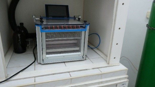 grafika ilustracyjna