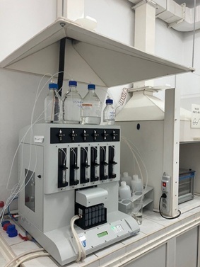 grafika ilustracyjna