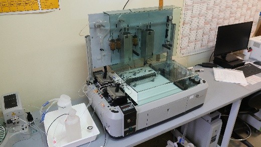 grafika ilustracyjna