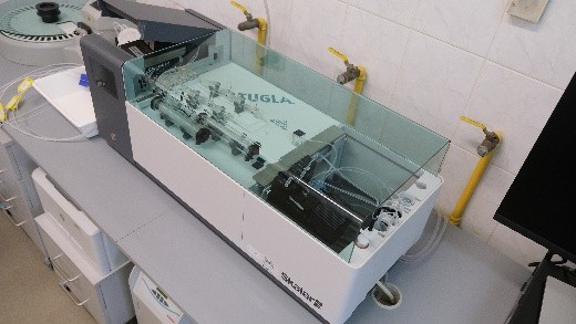 grafika ilustracyjna