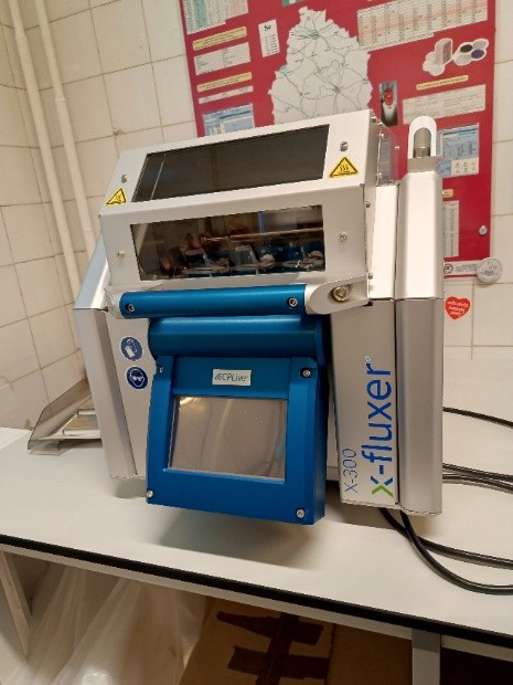 grafika ilustracyjna