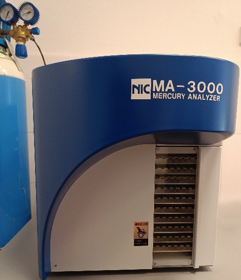 grafika ilustracyjna