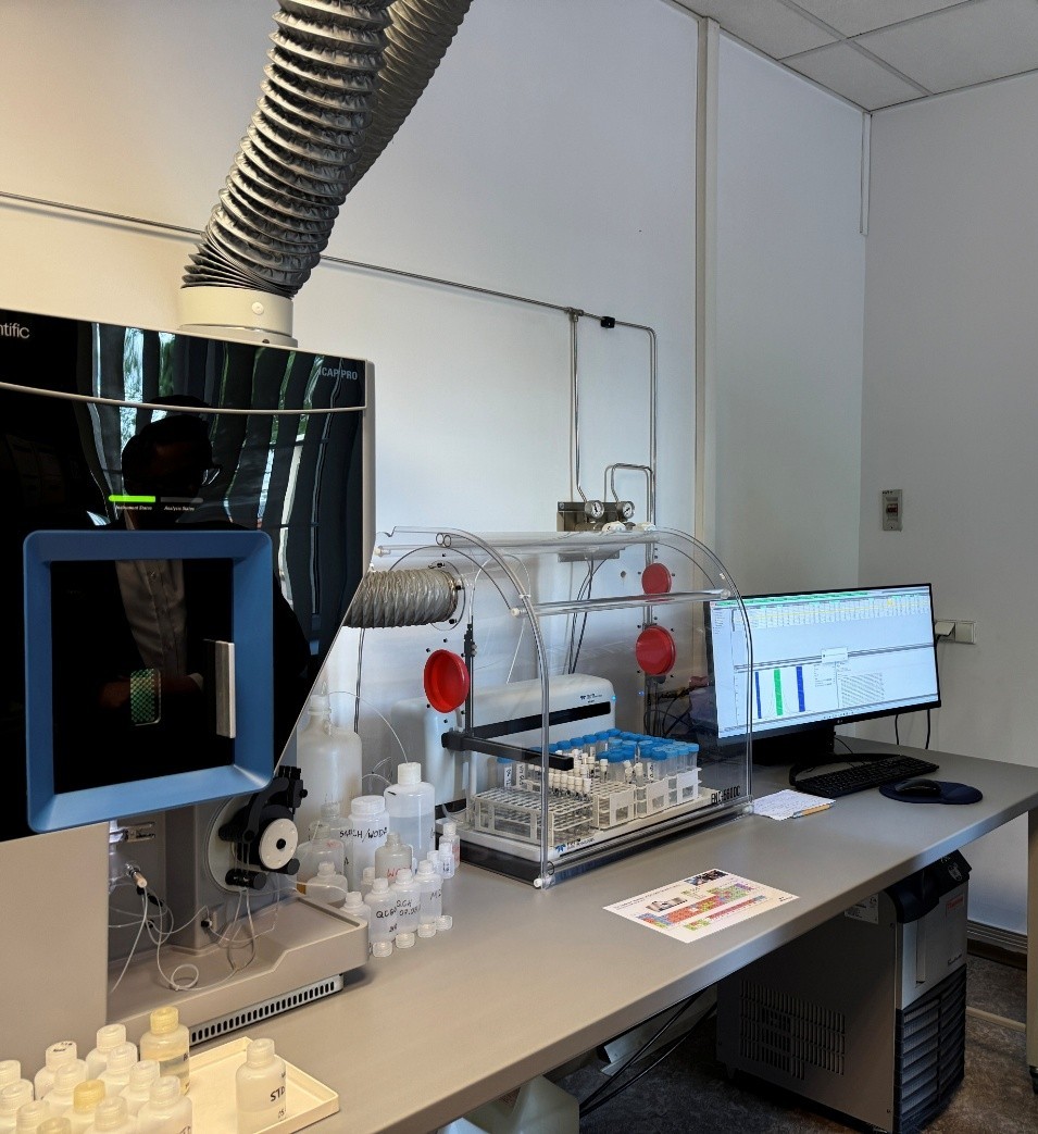 grafika ilustracyjna