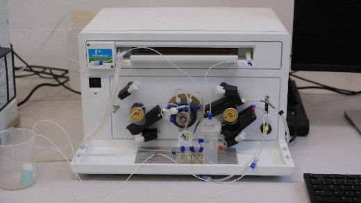 grafika ilustracyjna