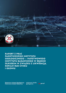 Okładka raportu