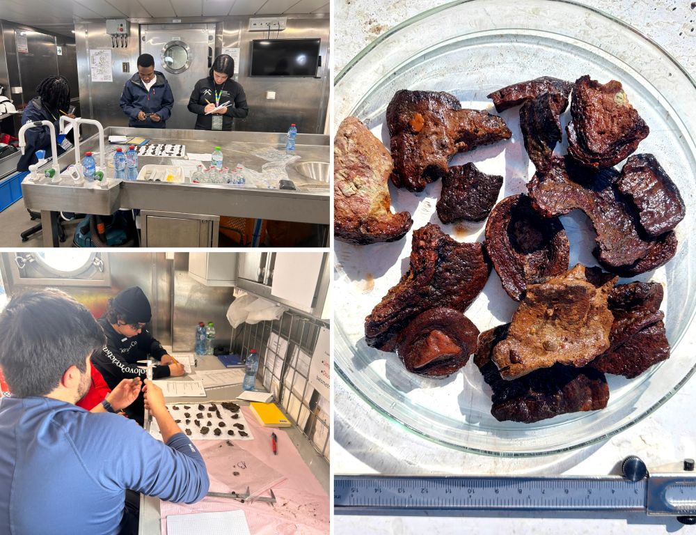 badanie próbek geologicznych w laboratorium