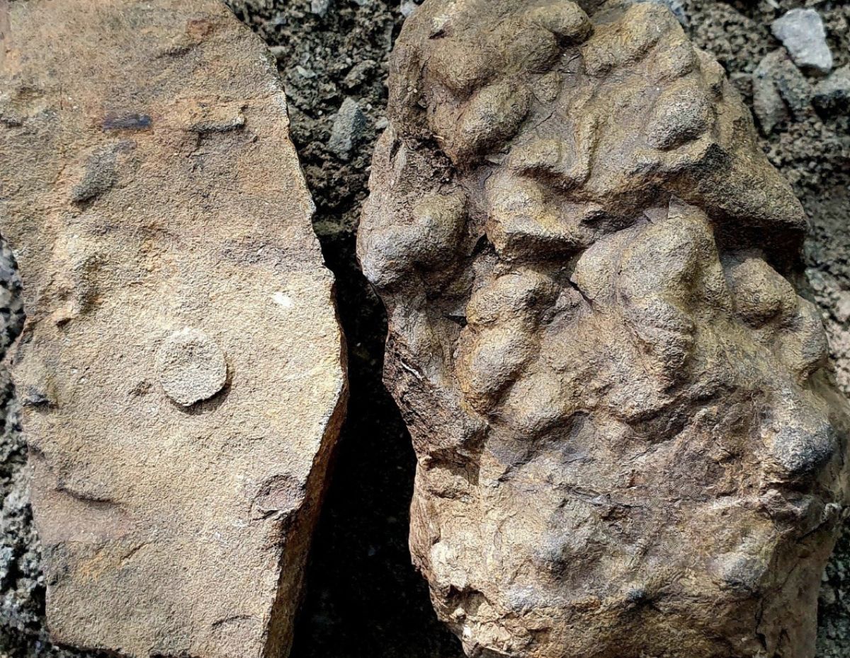 fragment skały