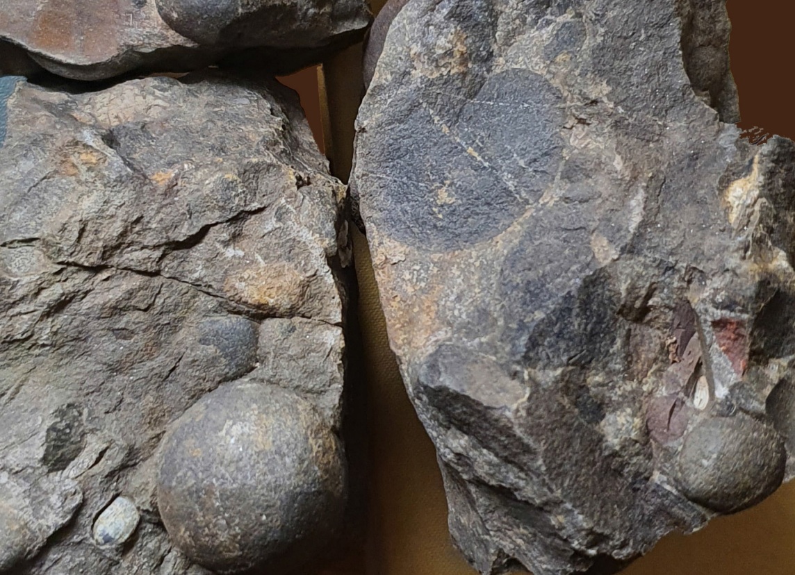 fragment skały