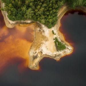 grafika poglądowa, zajawka artykułu