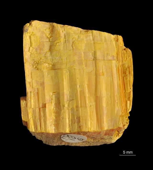 Aurypigment