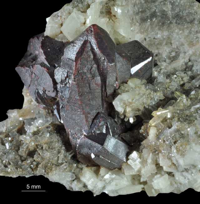 Cynober 