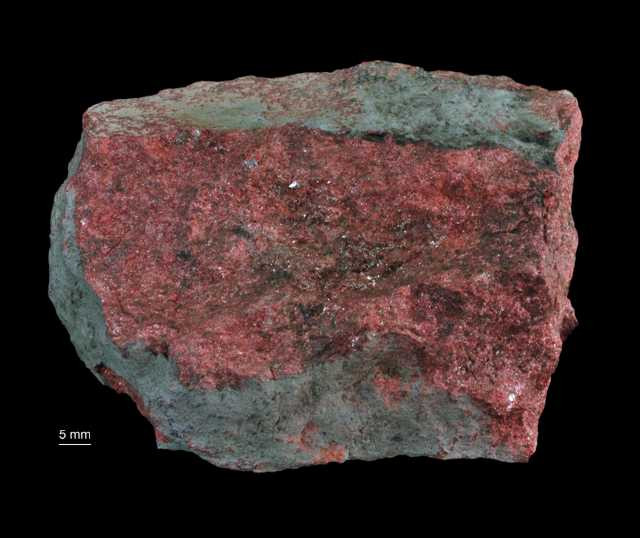 Cynober 