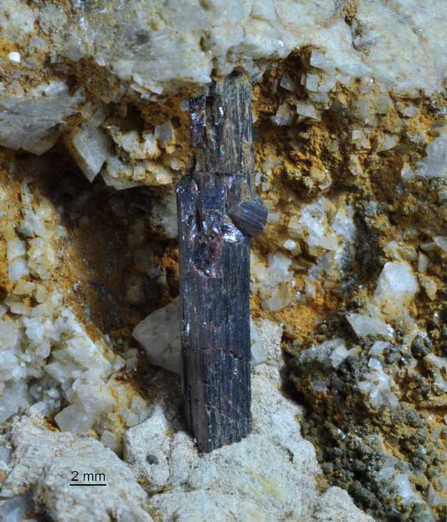 Rutyl