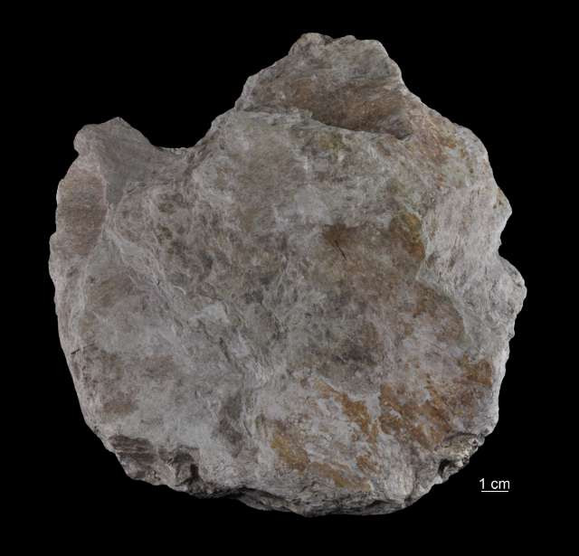 Łupek chlorytowo-talkowy