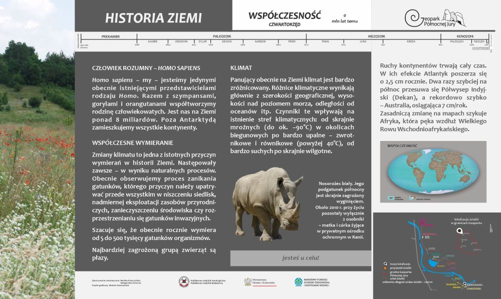 grafika ilustracyjna